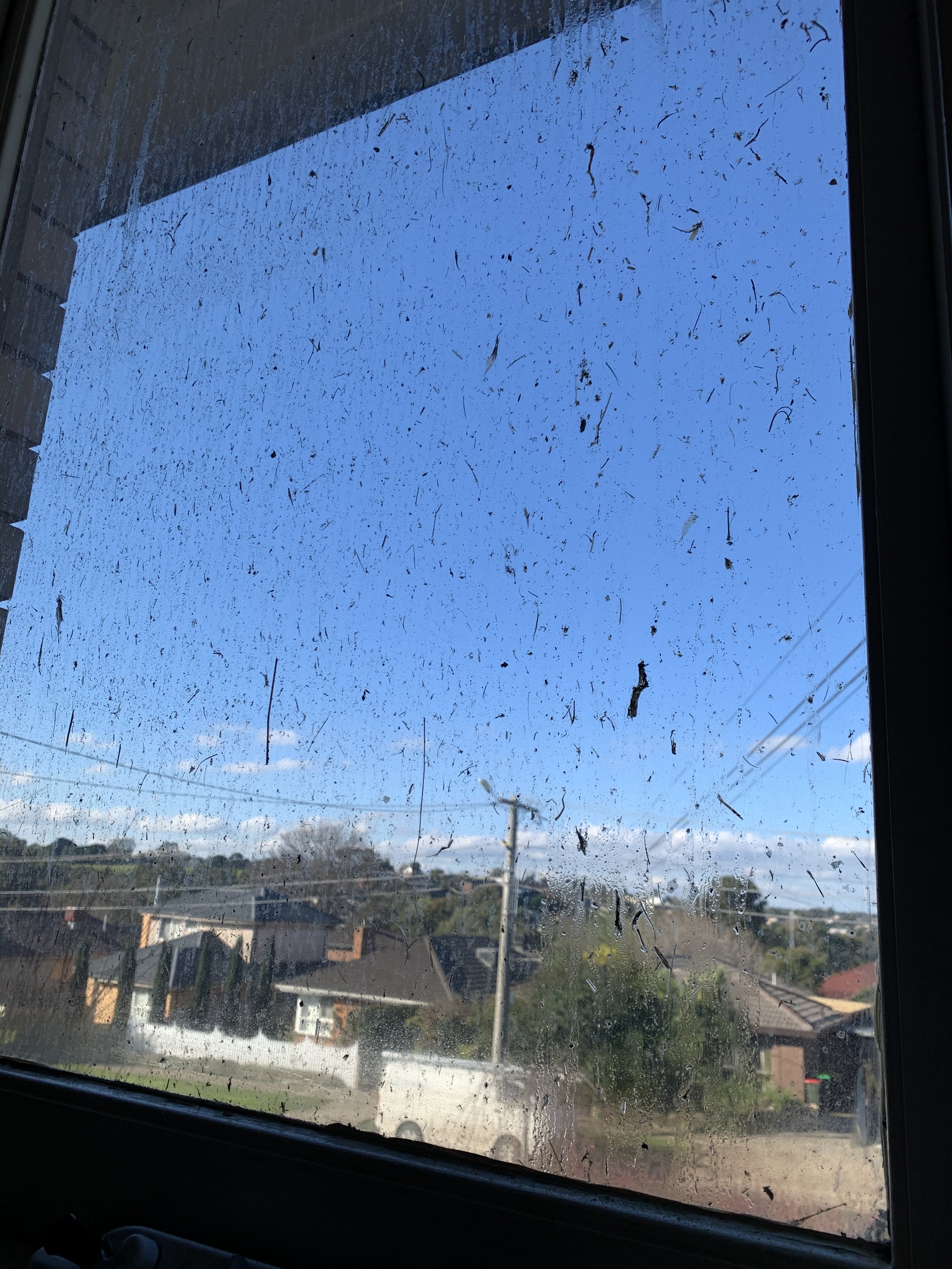 Dirty windows before professional cleaning by Aesthetic Window Cleaning in Melbourne